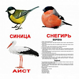 Набор карточек "Птицы"лам. (7+Я) 