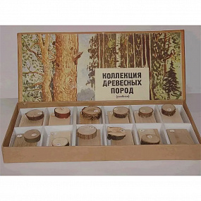 Коллекция "Древесные породы"