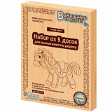 Выжигание в ассорт. (Доски для выжигания 5 шт, Первые шаги) 01734