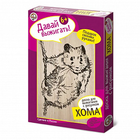 Выжигание в ассорт. (Доски для выжигания 2 шт, Хома) 01570